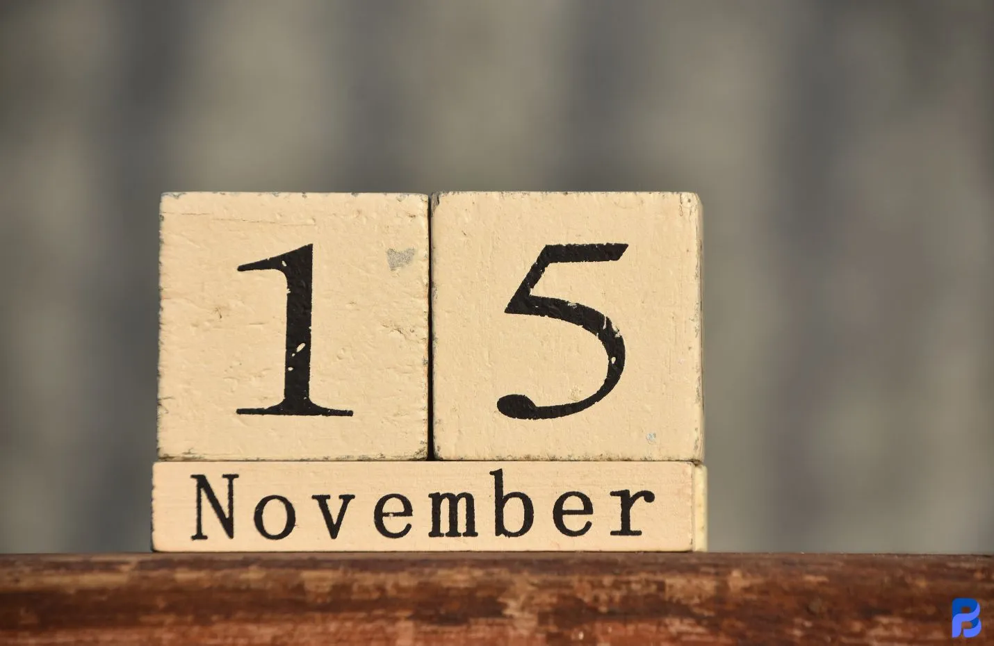 Pagamenti SFL di Novembre 2025:Date Ufficiali, Importo di 500 Euro