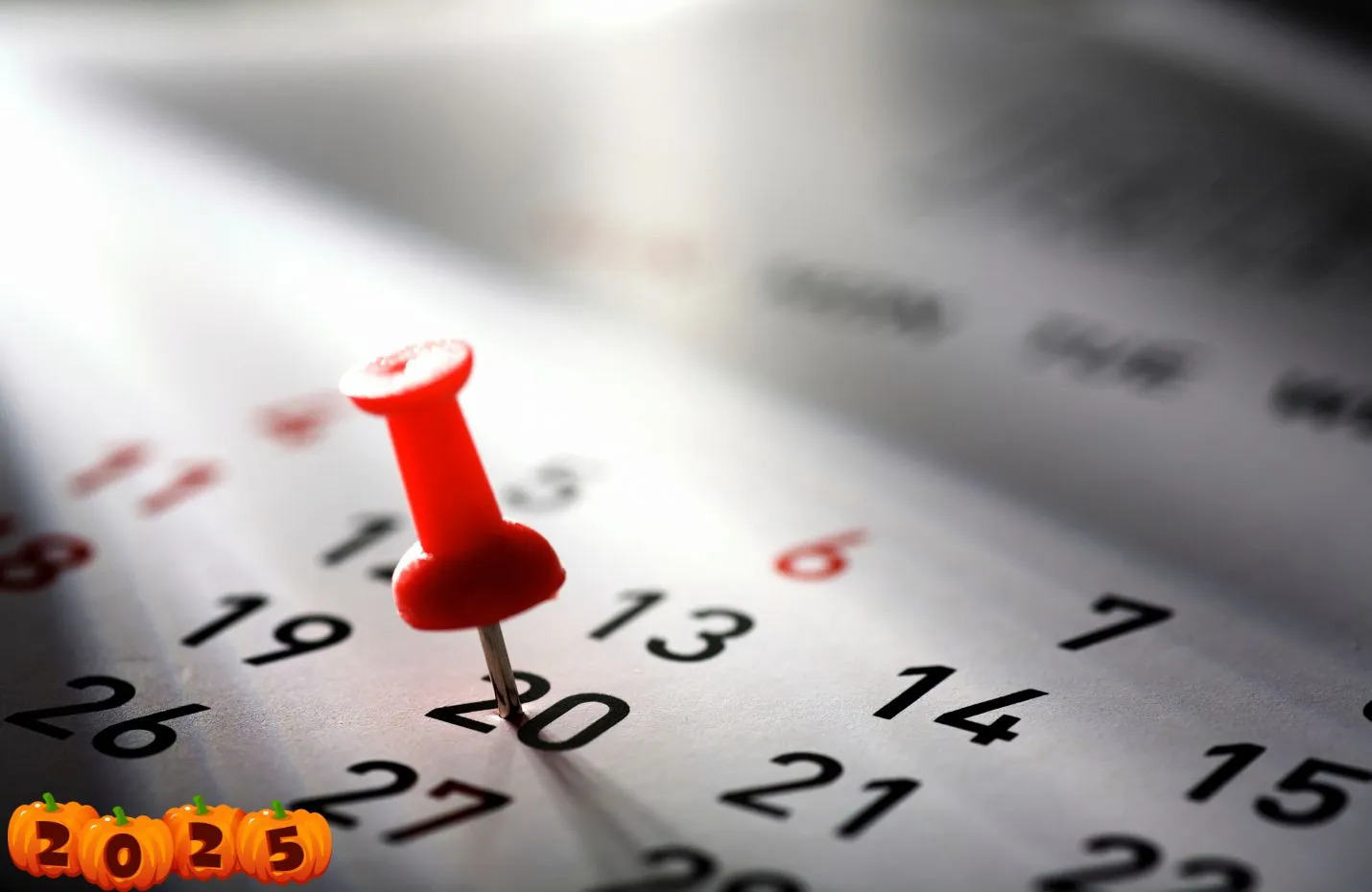 Tutti i Pagamenti di Dicembre 2025: Bonus natale 155 euro, Assegno Unico, Bonus da 480 euro, Carta Acquisti, Naspi, ADI